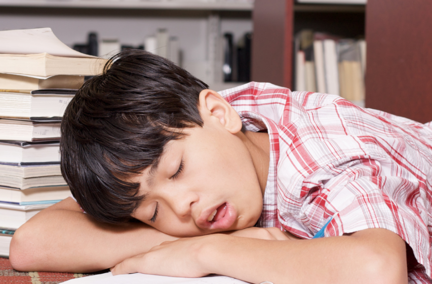 Study Motivation Tips for Lazy Students